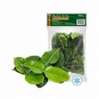 Laima lapas, saldētas, 100g